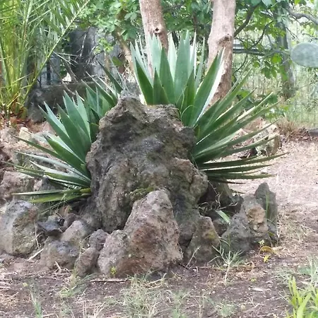 Gasthof Vulcano Beach Vulcano (Isola)